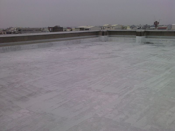 崇仁聚合物水泥防水涂料